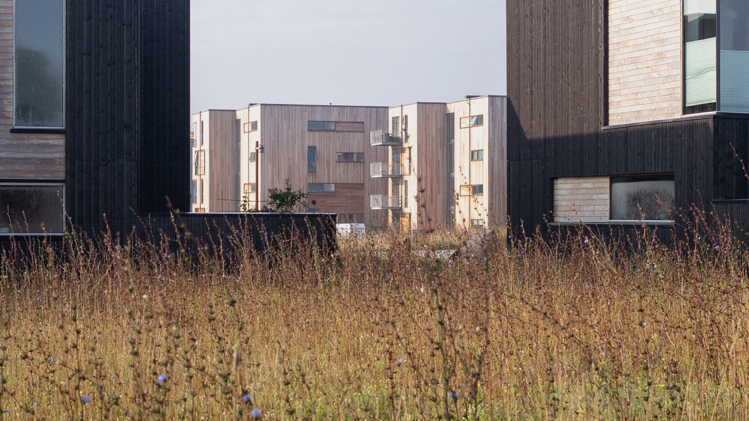 Arrt Building AART | Redefining Architecture™