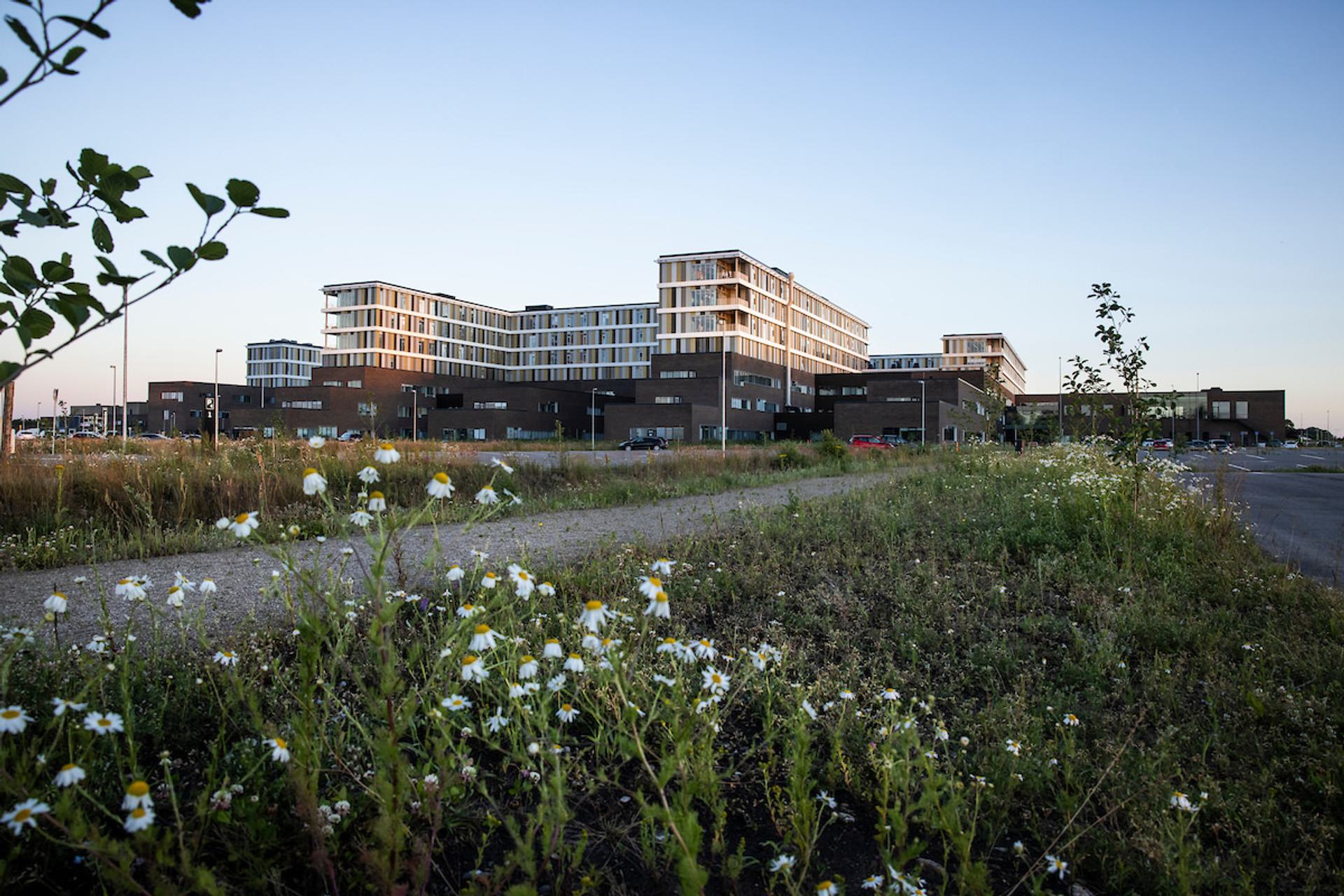 Gy DSTRUP HOSPITAL 20220628 TH 0070